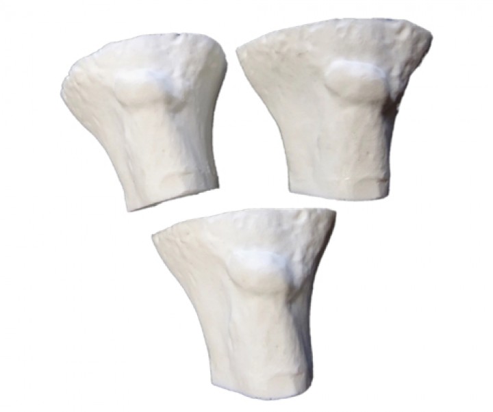 Zestaw 3 wymiennych wkładów kostnych do trenażera Techline IO in a Box®